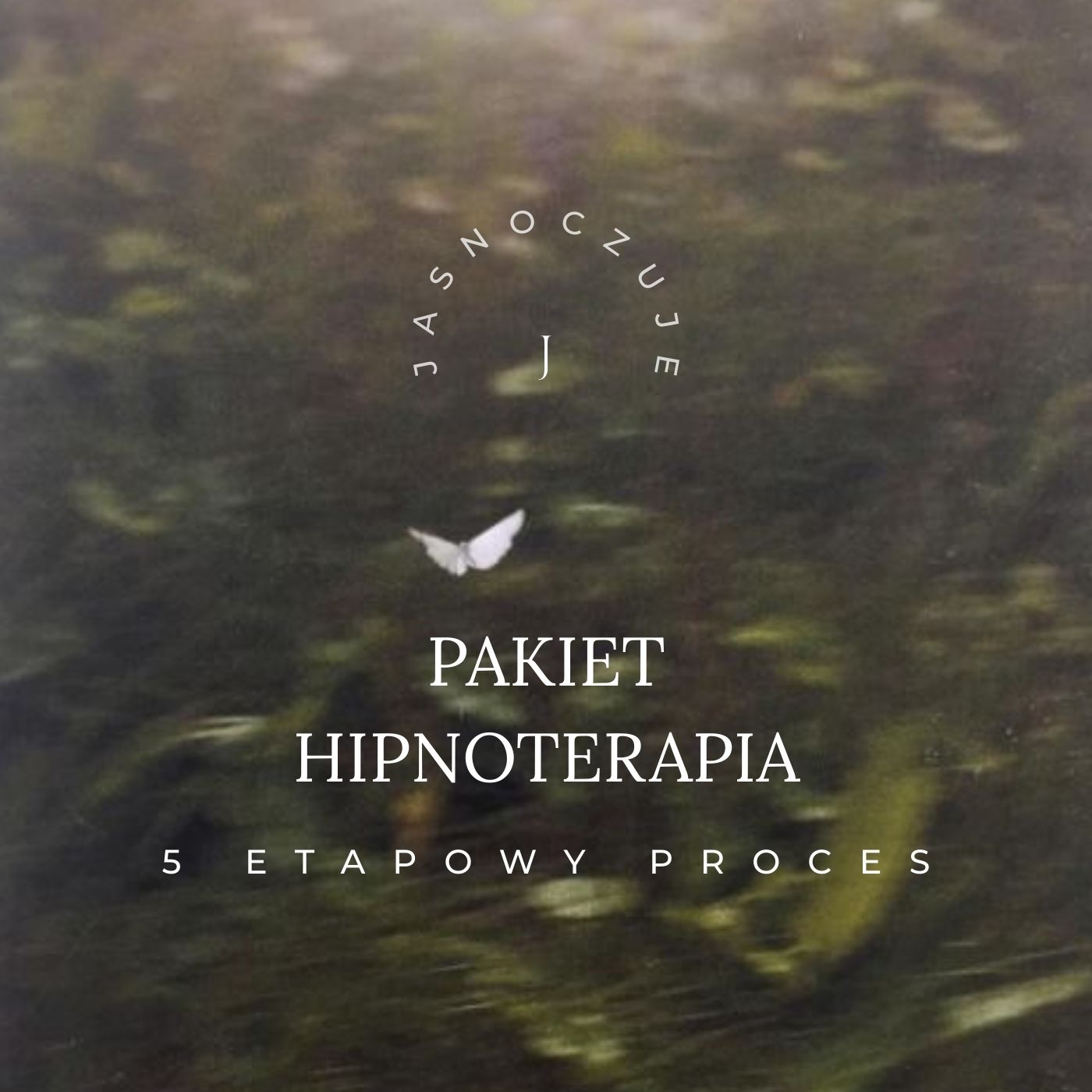 Hipnoterapia Pakiet - 5 etapowy proces